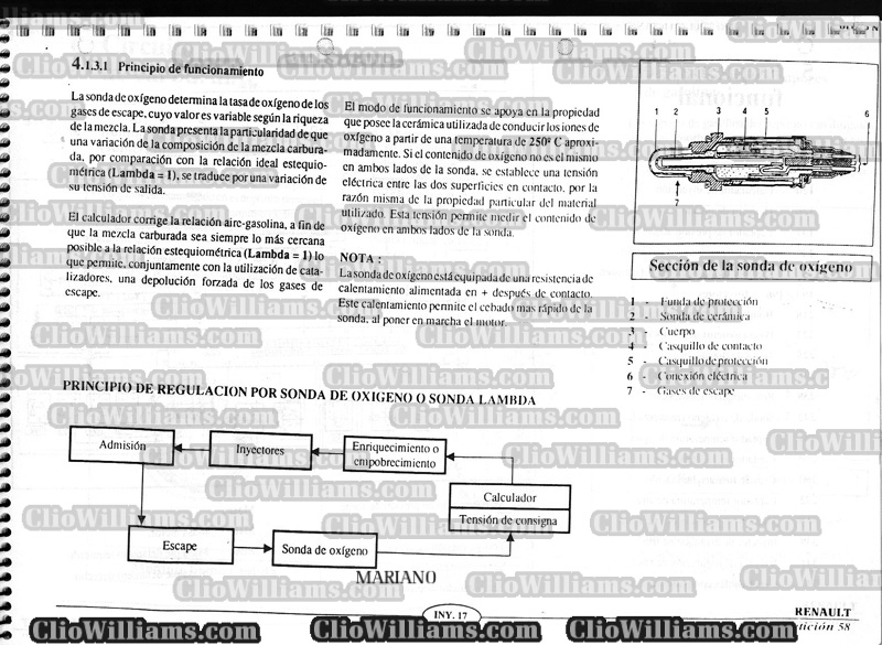 cliowilliamscom-iny-17